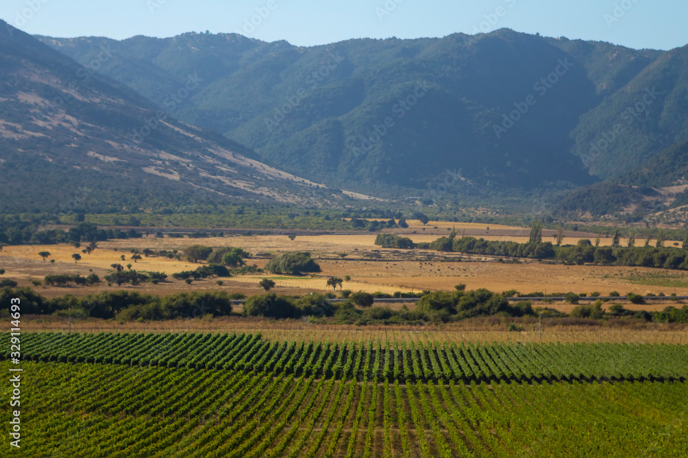 Fazendas de produção de vinhos em vales no Chile