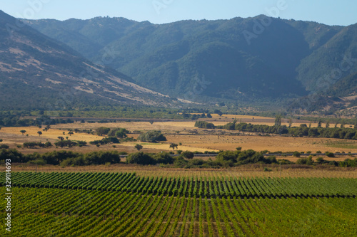 Fazendas de produ    o de vinhos em vales no Chile