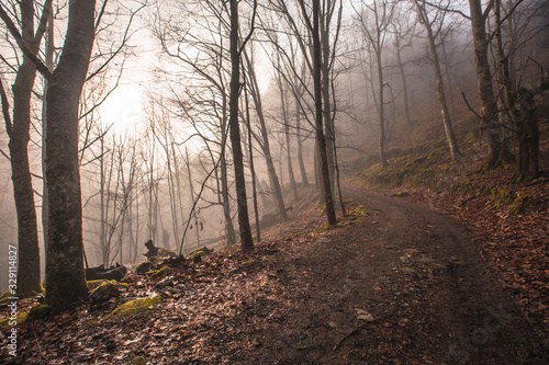 Fog on the trail of Mount Ekaitza, Navarre photo