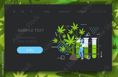 female researcher using syringe for examining marijuana plant healthcare pharmacy medical cannabis concept horizontal full length copy space vector illustration