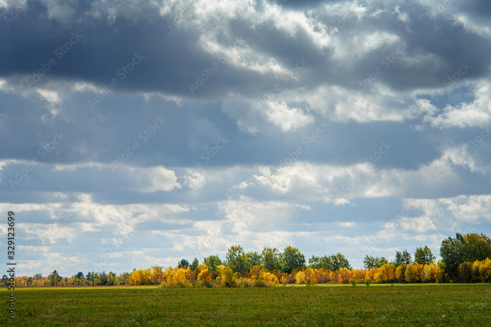 Clouds in the sky over autumn meadow and forest