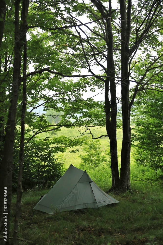 Campsite in the wilderness park