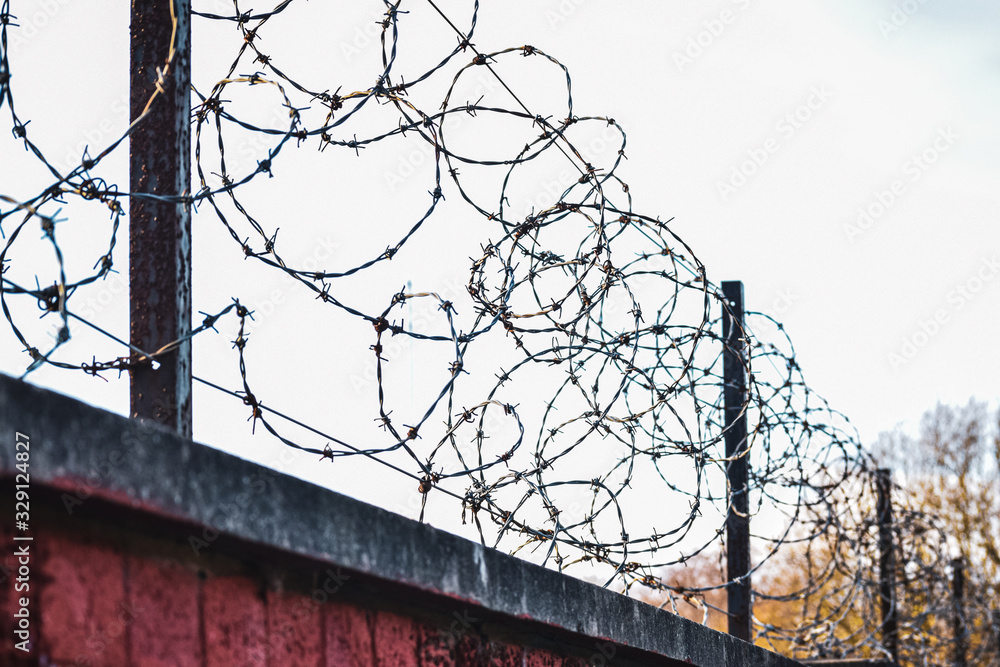 Barbed wire spiraling on top of a red brick wall. Blurred conceptual ...