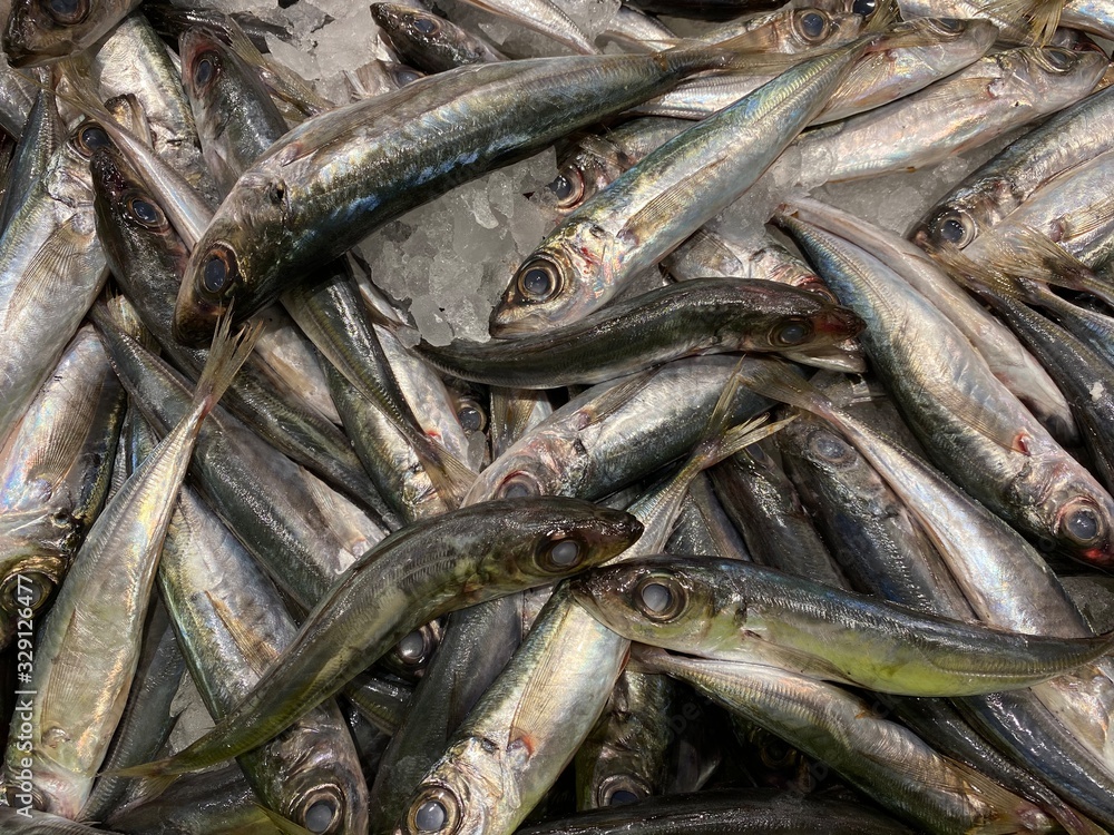 Obraz premium fresh sea fish ready for sale