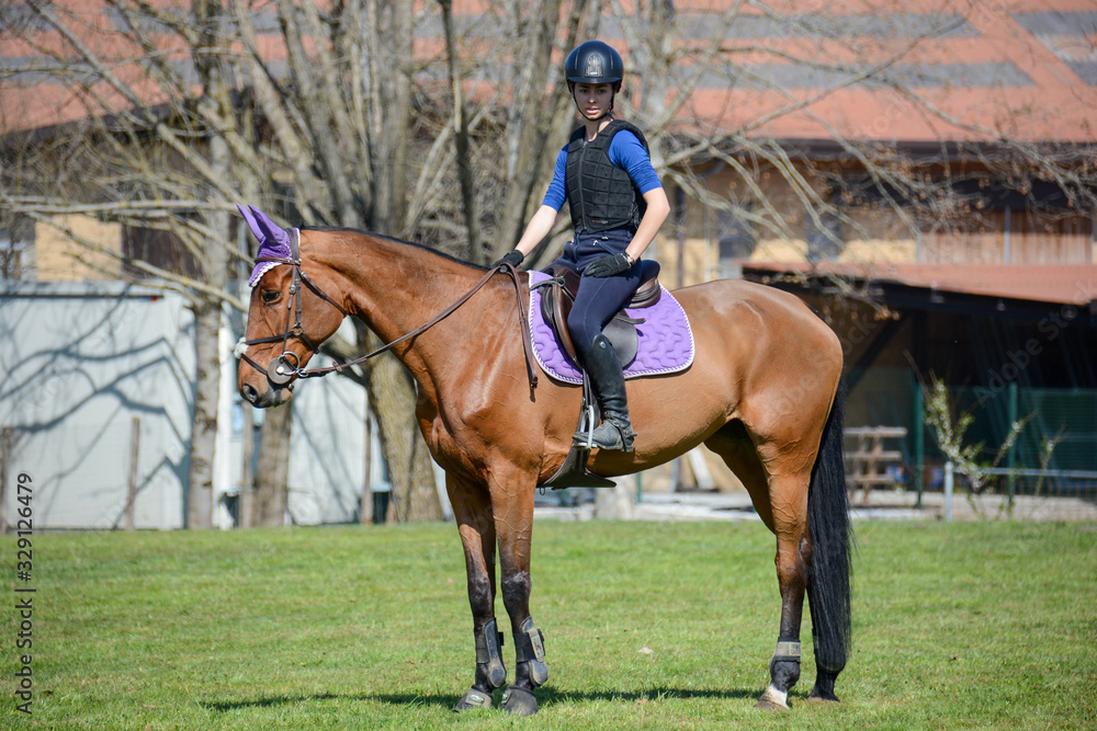 riding exercises riding exercises