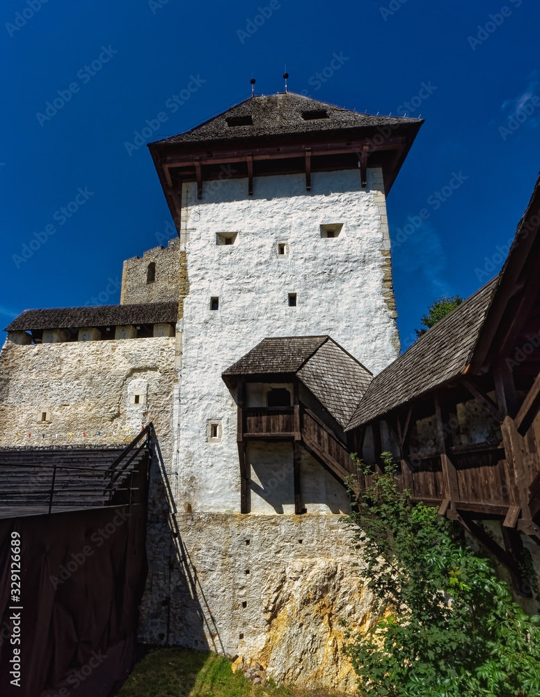 Castle Celje