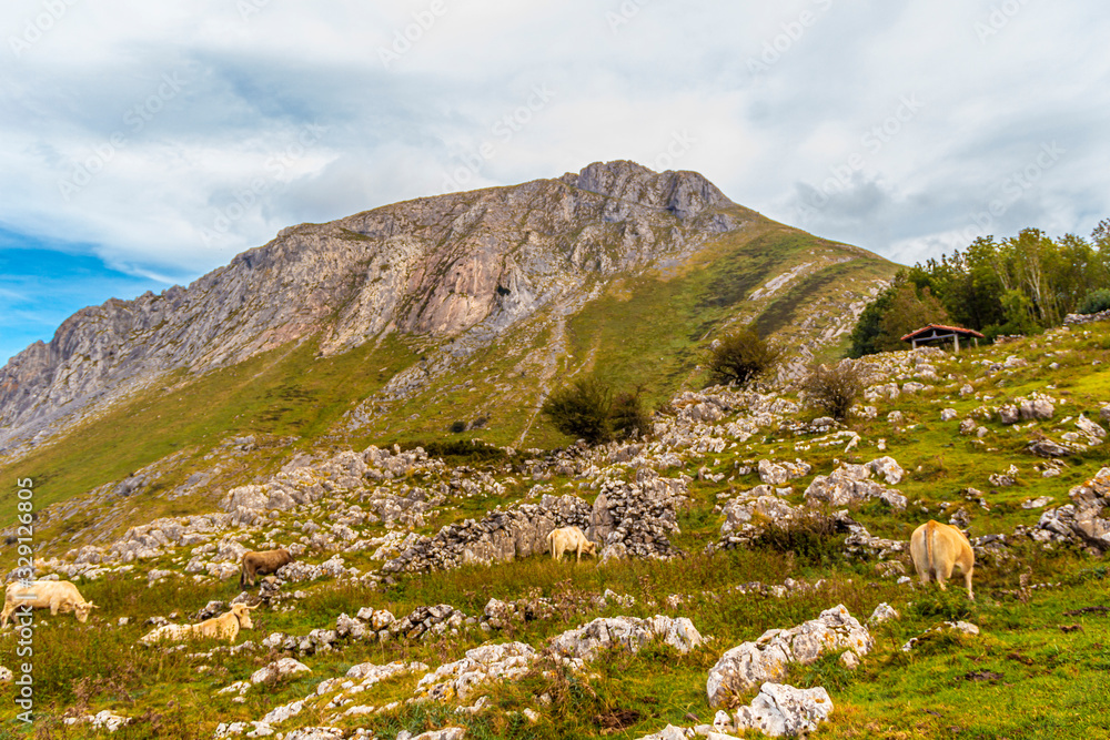 Top of Mount Txindoki in Lazkao as grazing animals. Gipuzkoa