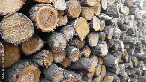 Logging firewood. Material for heating. Forest perspective view. Firewood background for design