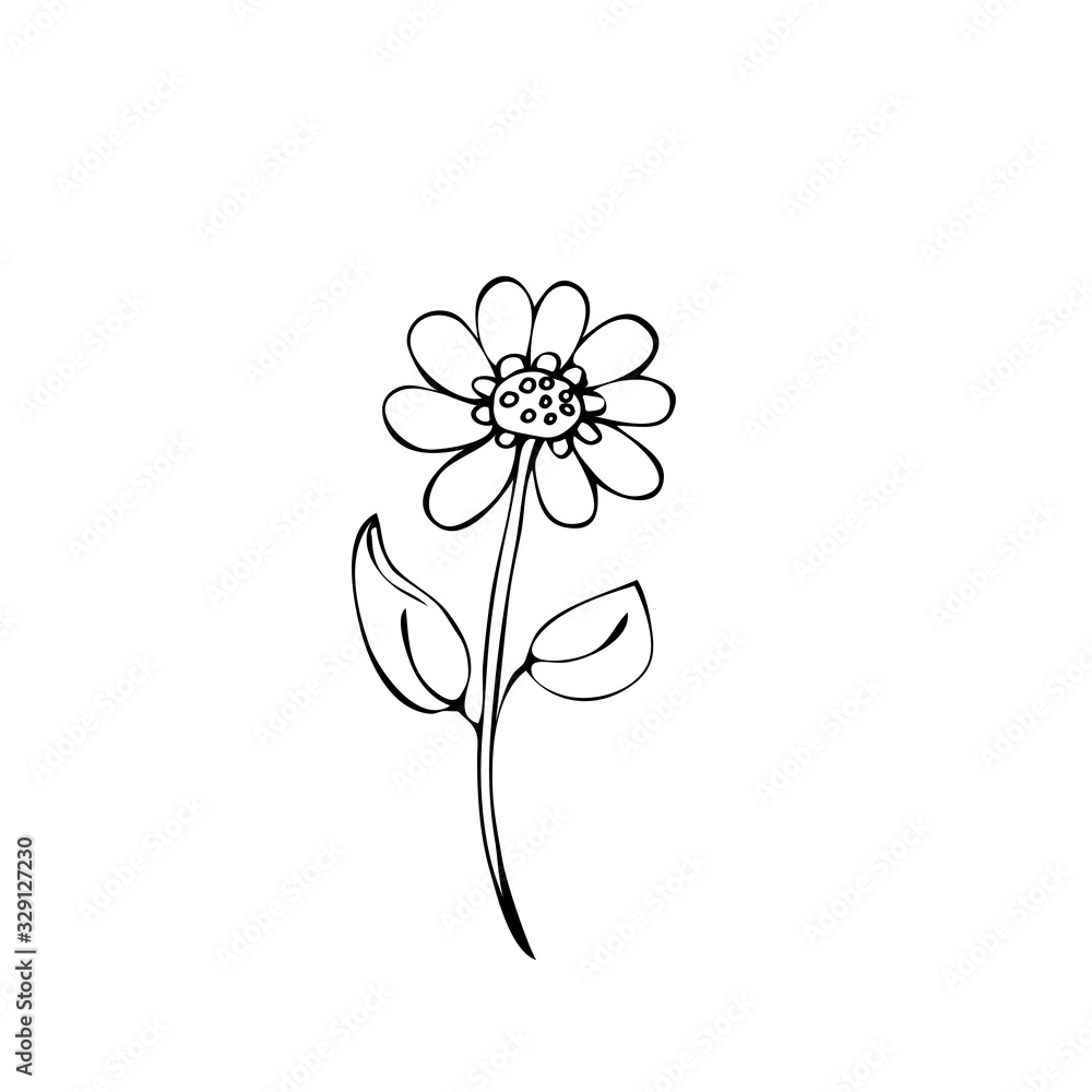Flower. Isolated on a white background. Stock vector illustration. Black and white graphics. Minimalism. Hand drawn. Flower. Isolated on a white background. Stock vector illustration. Black and white graphics. Minimalism. Hand drawn.