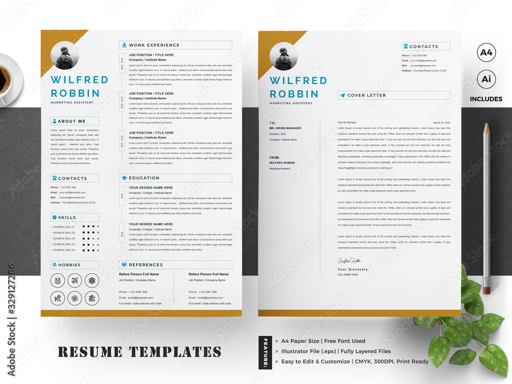 Resume / CV Template Stock Vector | Adobe Stock