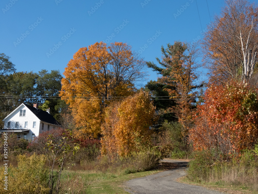 Fall Colors Fall Colors