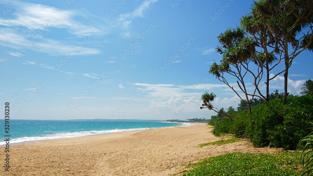 Sandy deserted paradise beach with palm trees on the ocean Sandy deserted paradise beach with palm trees on the ocean