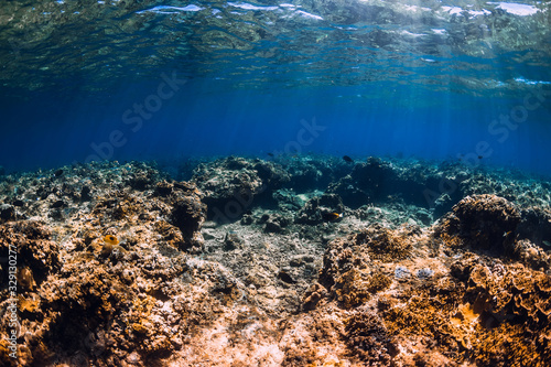 Tropical blue ocean with amazing corals underwater