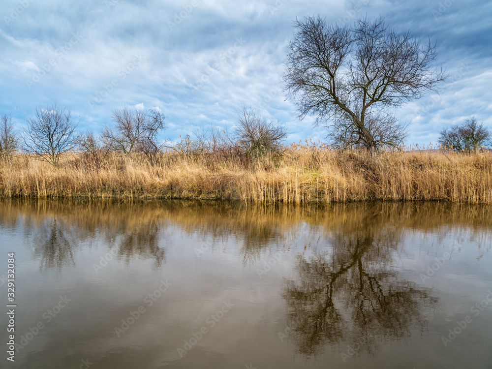 Reflections of trees on a canal at lake Neusiedlersee Reflections of trees on a canal at lake Neusiedlersee