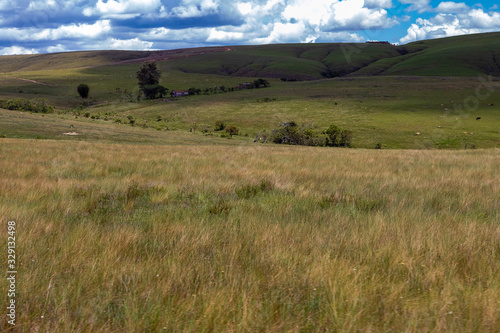 campo aberto na Serra da Canastra  Minas Gerais  Brasil