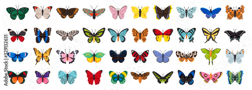 Butterfly vector illustration on white background . Isolated cartoon set icon decorative insect . Vector cartoon set icon butterfly.
