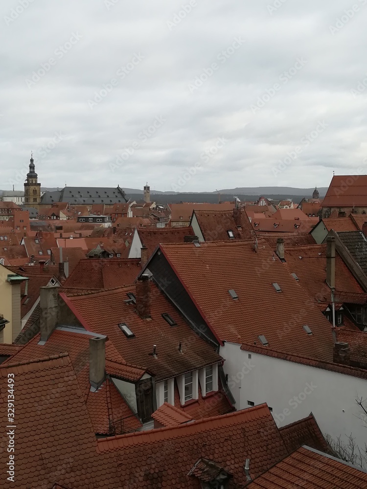 Roofs of German houses