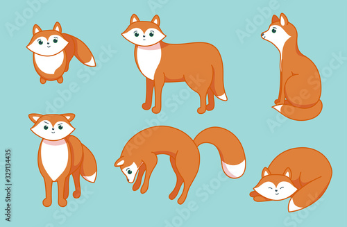 Set of little foxes. Character in cartoon style. Vector illustration © liu_miu