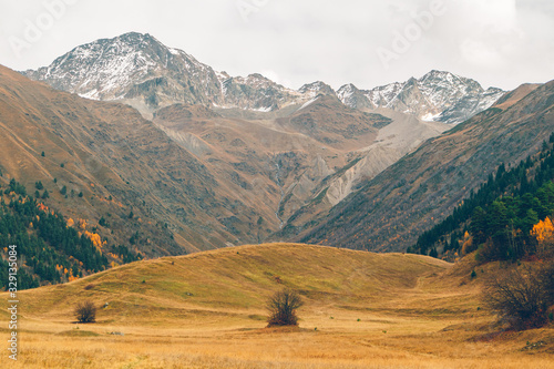 Colorful nature scenic of forest and river trails in European country.