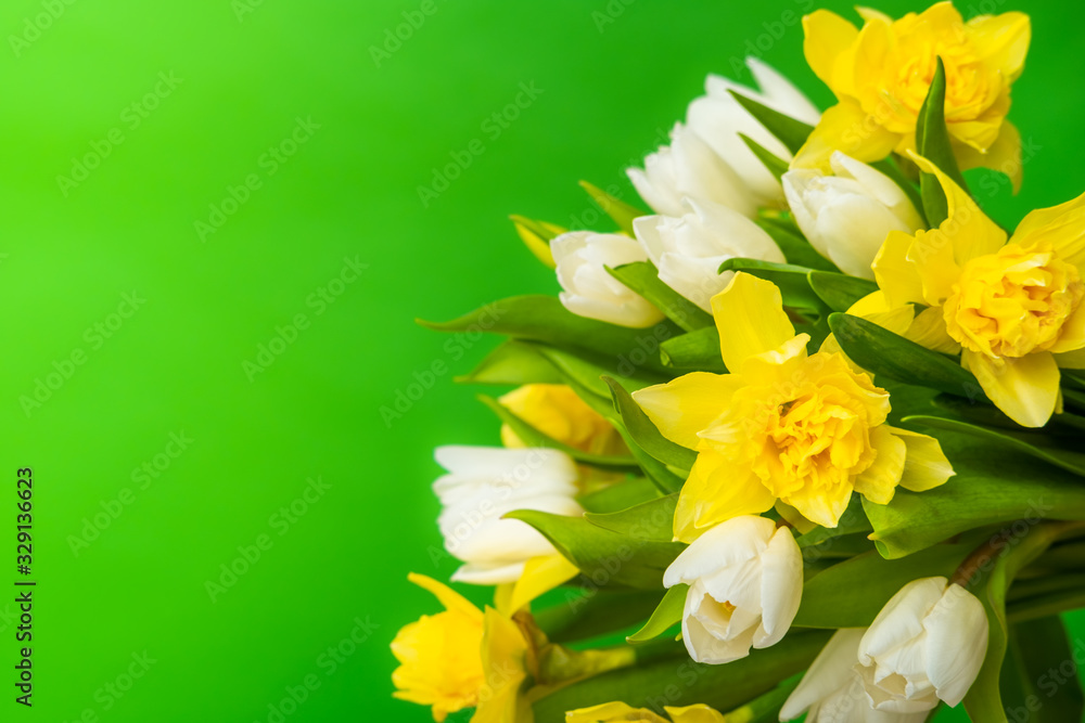 Spring greeting card. White yellow tulip daffodil bouquet on green background. Easter and spring . Woman day concept. Copyspace for text. Spring greeting card. White yellow tulip daffodil bouquet on green background. Easter and spring . Woman day concept. Copyspace for text.