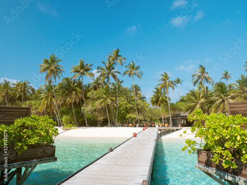Tropical Island with Palm Trees and Wooden Pier in Indian Ocean on Maldives.
