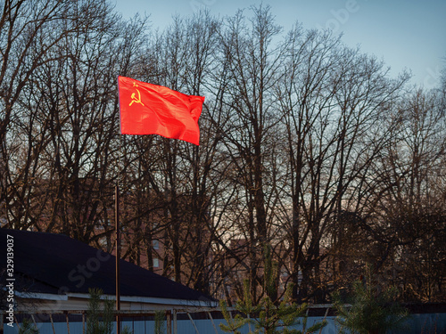 Fototapeta Naklejka Na Ścianę i Meble -  The red Soviet flag glows brightly in the sun on the suburban area behind the fence