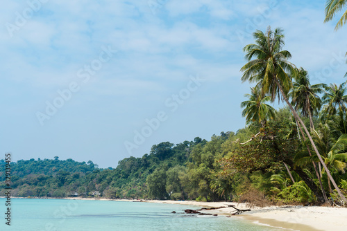 Tropical island beach landscape with a palm trees in Thailand. Crystal clear water against blue sky background. Wallpaper. Vacation