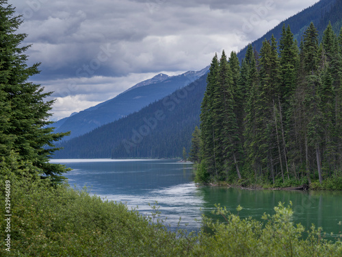 Fototapeta Naklejka Na Ścianę i Meble -  Trees at the lakeside with mountain range in the background, Moose Lake, British Columbia, Canada