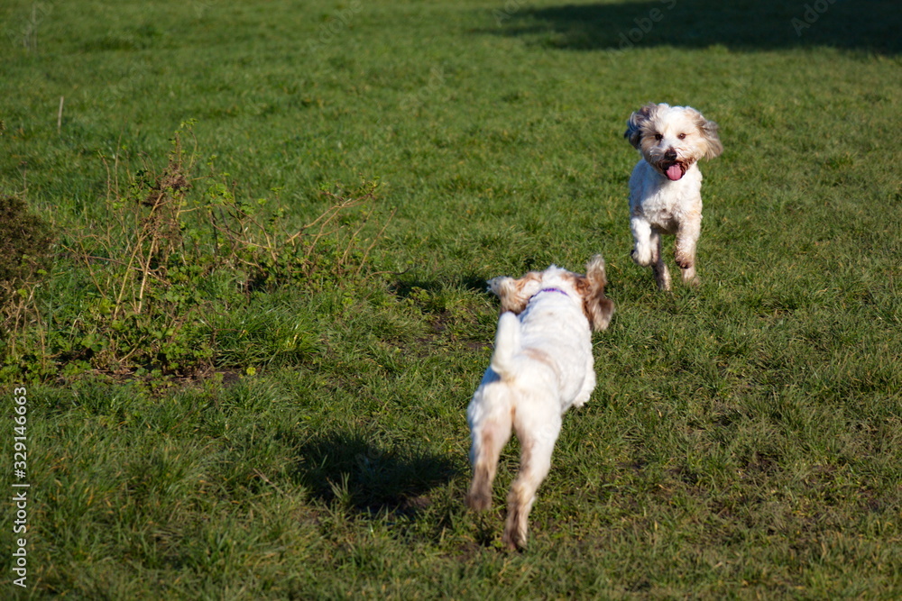 Trying to get a chase started Trying to get a chase started