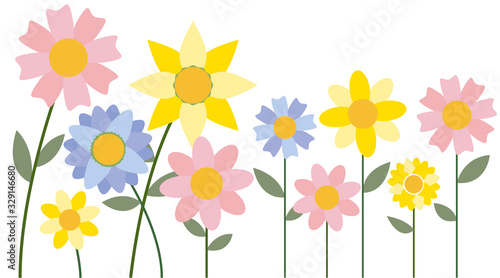 Flores de color amarillo, rosa y azul sobre fondo blanco..