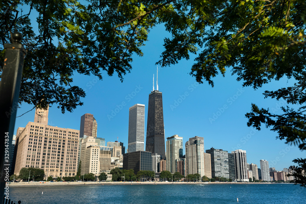 Fototapeta premium Chicago Illinois skyline