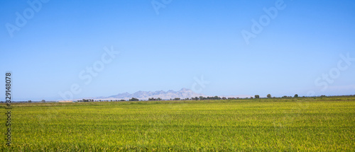 Panoramafoto - Wiese und Gebirge im Banner Format