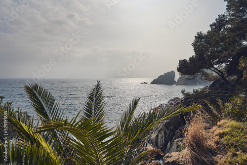Mediterranean seascape with rocks, pine trees and rough cliffs in Costa Brava. Blanes, Catalonia, Spain. © Sergio de Flore