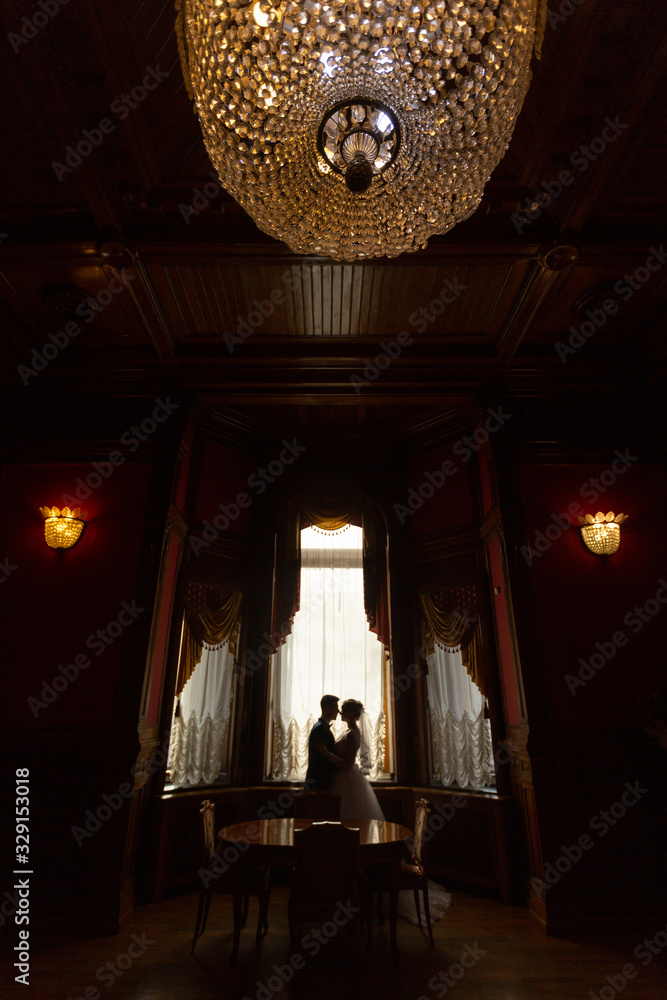 silhouette of the bride and groom in the Palace