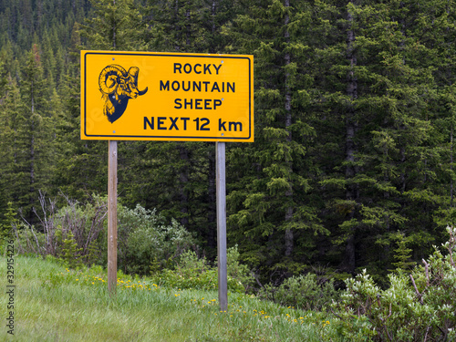 Signboard in a forest, Alberta, Canada