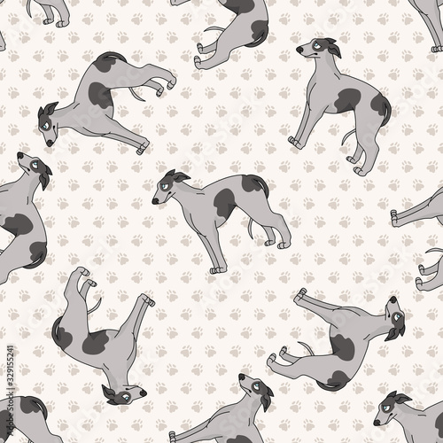 Hand drawn cute greyhouse race dog seamless vector pattern. Purebred pedigree fast puppy domestic pet on background. Dog lover agility dog pet all over print. Kennel Pooch. EPS 10.  photo