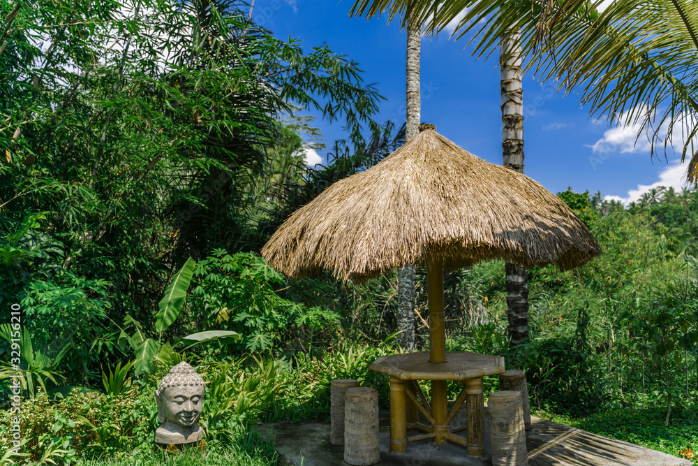 Cafe in the jungle. Table under a thatched canopy in the rainforest. Wooden gazebo in a thicket of bamboo under palm trees. Buddha statue near the gazebo.