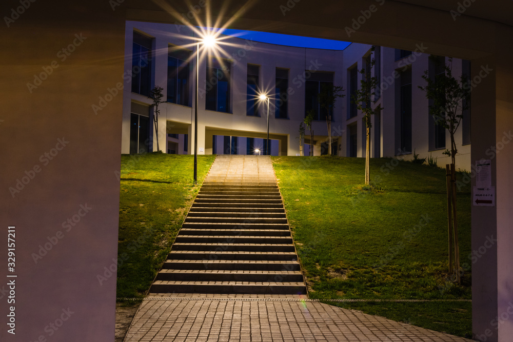 Obraz premium walkway in the park