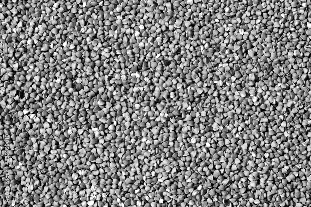 Pile of buckwheat close-up in black and white.