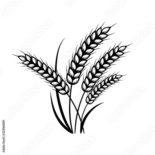 Ears of wheat. Vector elements for design