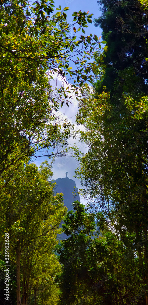 Obraz premium Corcovado view