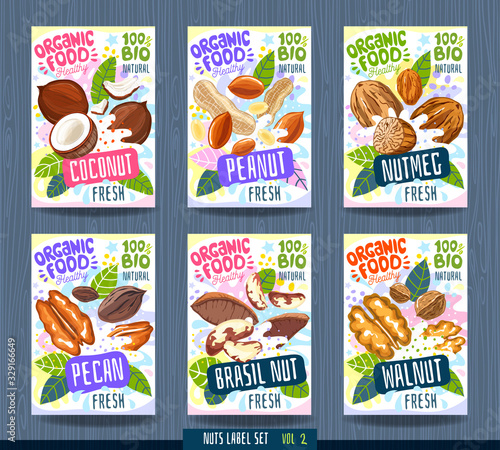 Abstract splash Food label template. Nuts, herbs, fruits, spices, package design. Coconut, peanut, nutmeg, pecan, brasil nut, walnut. Vector illustration