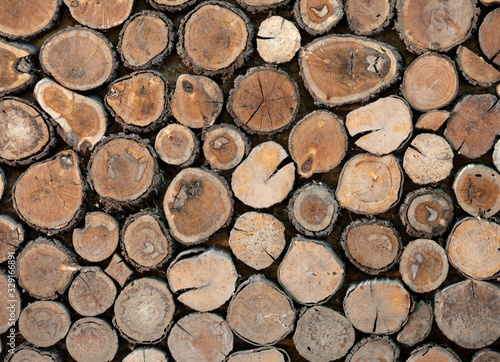 Decorative background  collected from old wood logs.