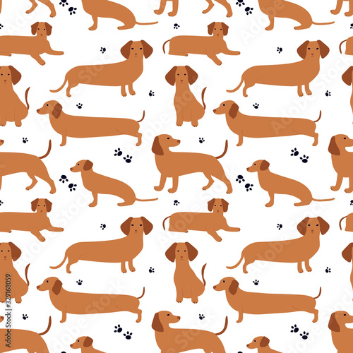 Seamless pattern with German badger-dog, dachshund. Cute cartoon character. Animal print.