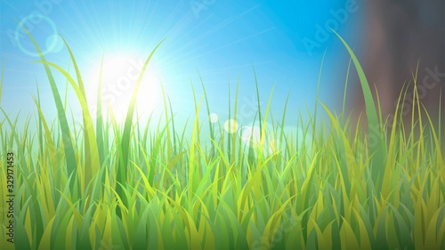 Vector closeup sunny grass and sunlight  spring meadow with morning sun
