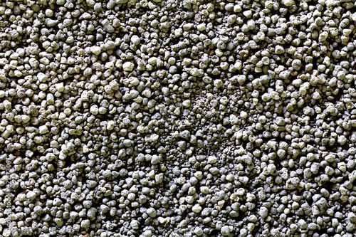 Fertilizer pellets, Organic fertilizer