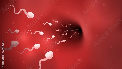 Sperm cellss wim in the fallopian tube to the egg, the fertilization process