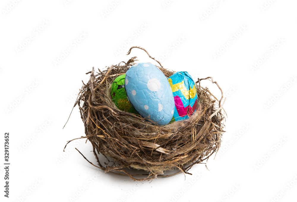 nest with chocolate eggs isolated nest with chocolate eggs isolated