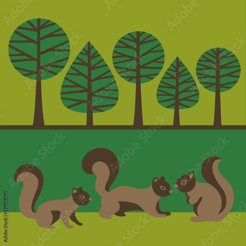 Eichhörnchen
