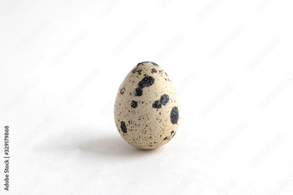 Obraz premium One quail egg. Isolated on white background